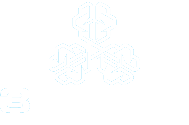 3 Brains Fencing & More